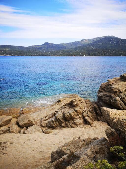 5 Min De La Plage - T4 Avec Piscine & Tennis Propriano  Εξωτερικό φωτογραφία